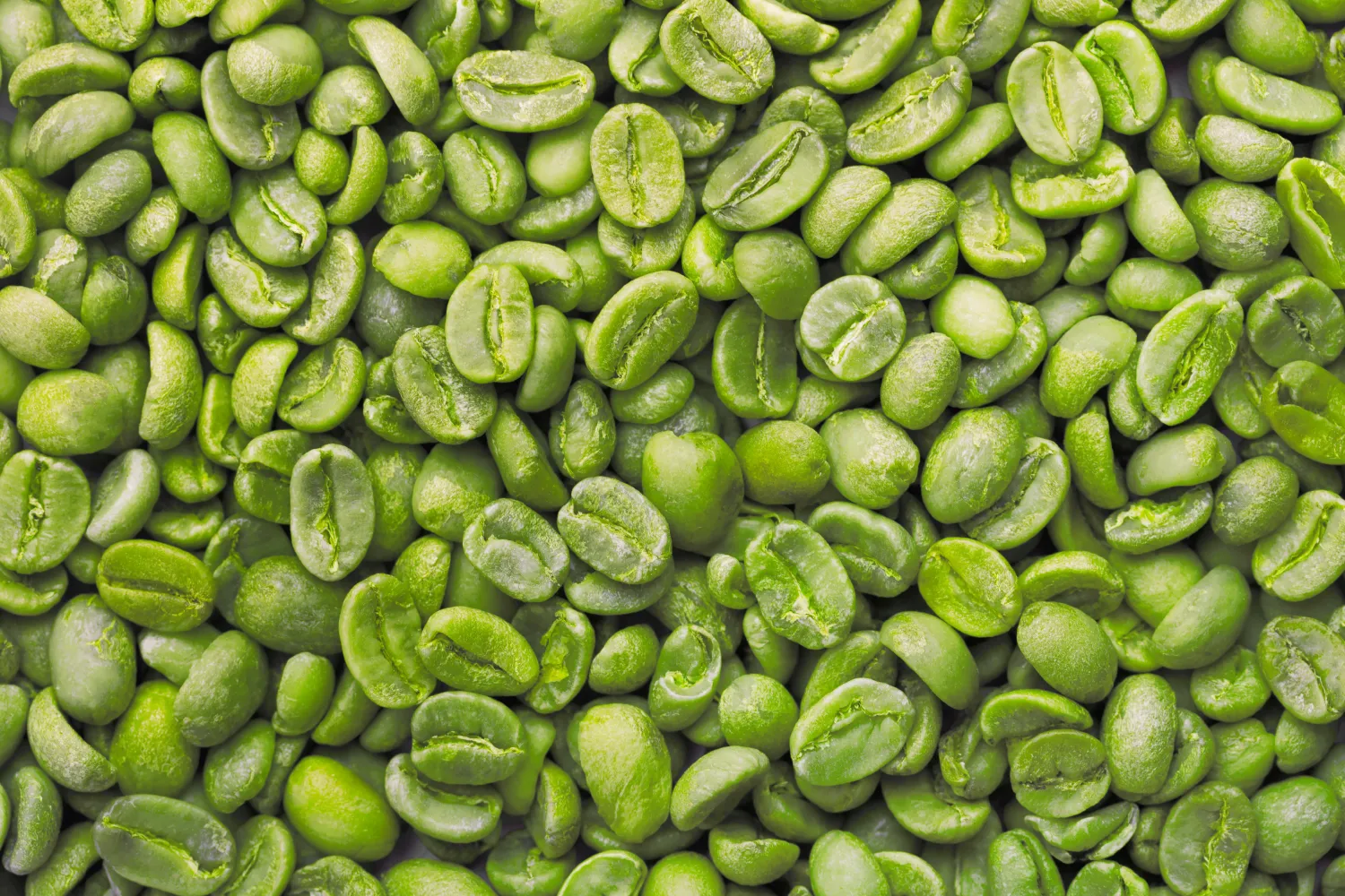 Need Green Coffee Beans, Arabica AA for roasting.