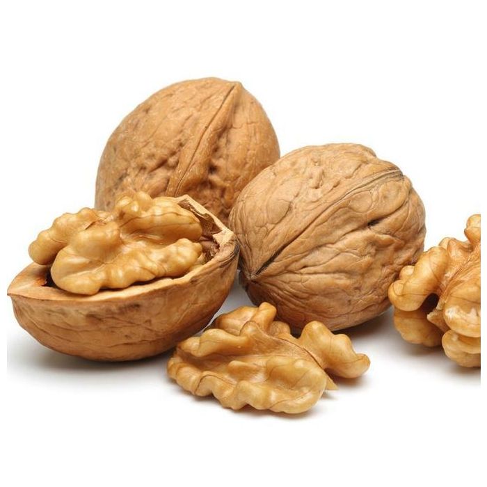 Supplying walnuts in shell, Indian origin, large size 32–36 mm