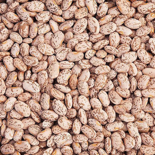 Carioca beans 4000 mt