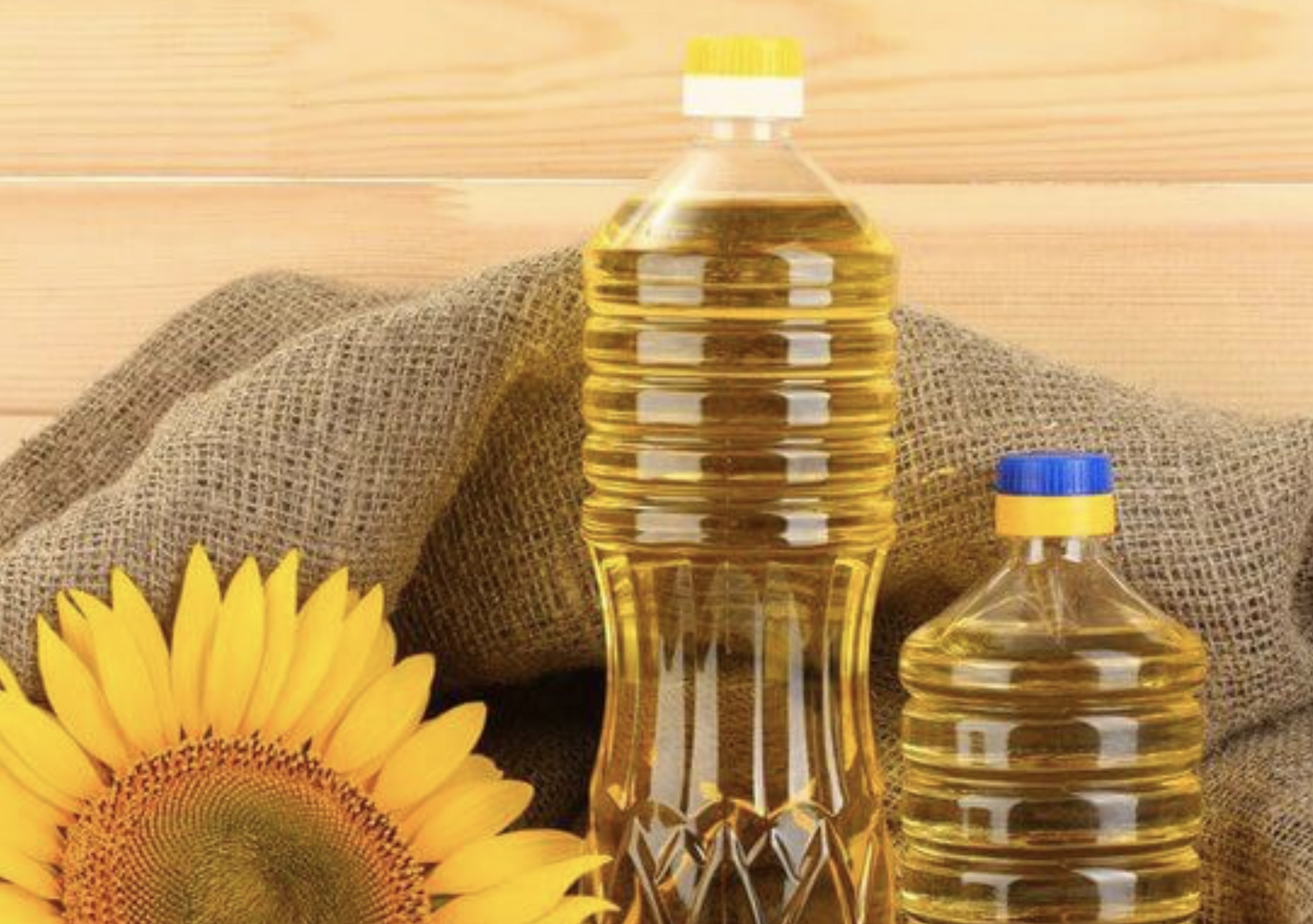 Refined sunflower oil 300 MT